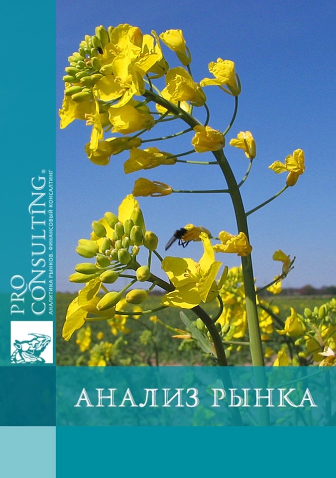 Анализ рынка рапса Украины. 2004 год